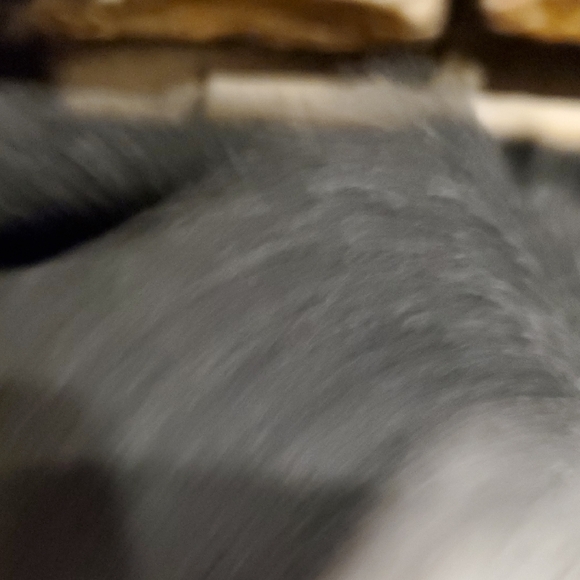 Women's Charcoal Sweatshirt Off the Shoulder sz L NWOT - Picture 4 of 4